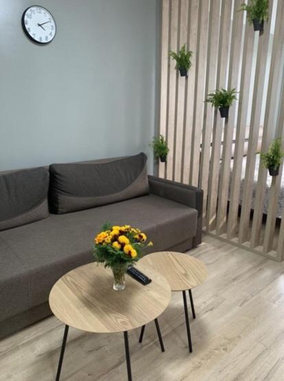 Babylon On Vidinska 41 Apartment Rivne