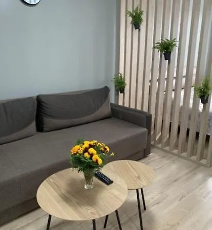 Babylon Apartments On Vidinska 41 Rivne Exterior photo
